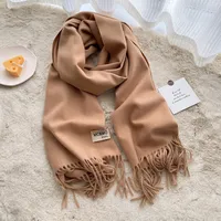 Soft Imitation Cashmere Scarf Women's Autumn And Winter Korean Style New Warm Couple Scarf Cold-proof Outer Long Shawl sku image 2