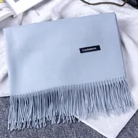 Pure Color Cashmere Scarf Women's Autumn And Winter Popular  Shawl Scarf Annual Meeting Gift Red Scarf  Direct Sales sku image 28