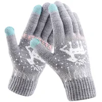 New Knitted Touch Screen Gloves Women's Korean Style Winter Stall Velvet Thickened Cold-proof Fawn Wool Warm Gloves main image 5