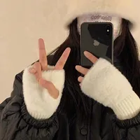 Warm Wool Half-Finger Gloves Women's Winter Plush Knitted Wrist Protection Finger Leakage  Touch Screen Office Student Writing main image 2