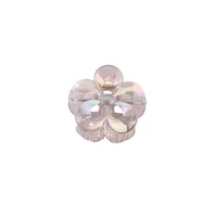 Women's Simple Style Classic Style Flower Plastic Resin Stoving Varnish Hair Claws sku image 2