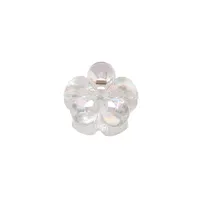 Women's Simple Style Classic Style Flower Plastic Resin Stoving Varnish Hair Claws sku image 3