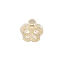 Women's Simple Style Classic Style Flower Plastic Resin Stoving Varnish Hair Claws sku image 4
