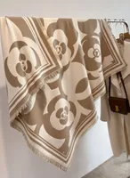Women's IG Style Classic Style Printing Color Block Imitation Cashmere Polyester Scarf sku image 5