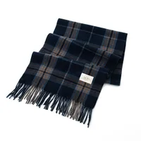 Women's Elegant Plaid Imitation Cashmere Tassel Scarf sku image 2
