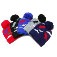 Children Unisex Cartoon Style Cute Dinosaur Pom Poms Jacquard Wool Cap main image 2