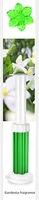 Toilet Floret 7 Generation Fragrance Bean Toilet Gel Newly Upgraded Nine Fragrant Household Deodorant  Outlet sku image 4