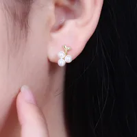 1 Pair Sterling Silver  Fruit Ear Studs main image 4