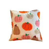 Simple Style Color Block Acrylic Pillow Cases Couch & Sofa Decor main image 5