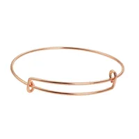 Direct Selling  Popular Push-pull Bracelet Diy Telescopic Bracelet Adjustable Alex Steel Wire Bracelet For Women main image 5