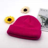 Autumn And Winter Knitted Hat Fashion Brand Solid Color Cold Hat Korean Style Melon Leather Hat Knitted Wool Floor Hat sku image 11