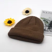 Autumn And Winter Knitted Hat Fashion Brand Solid Color Cold Hat Korean Style Melon Leather Hat Knitted Wool Floor Hat sku image 12
