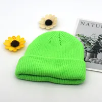 Autumn And Winter Knitted Hat Fashion Brand Solid Color Cold Hat Korean Style Melon Leather Hat Knitted Wool Floor Hat sku image 23