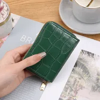 Card Bag Women's Mini Korean-style Crocodile Pattern Multi-functional Anti-degaussing Multi-card Driver's License Retro Bank Card Bag sku image 5