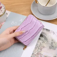 Card Bag Women's Mini Korean-style Crocodile Pattern Multi-functional Anti-degaussing Multi-card Driver's License Retro Bank Card Bag sku image 1