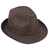 Top Hat Men's Middle-aged And Old Men's Jazz Hat Thickened Hat Fashionable Sports Outdoor Hat Wholesale main image 5