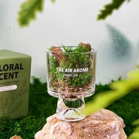 Modern Style Classic Style Letter Pine Chips Aromatherapy Home Fragrance main image 2