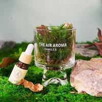 Modern Style Classic Style Letter Pine Chips Aromatherapy Home Fragrance main image 5
