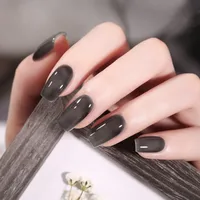 Casual Elegant Lady Multicolor Liquid Nail Polish sku image 12
