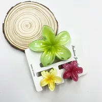 Women's Sweet Flower Plastic Resin Hair Claws sku image 11