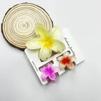 Women's Sweet Flower Plastic Resin Hair Claws sku image 15