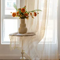 Elegant Tassel Solid Color Lace Fabric Curtains main image 2