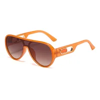 Casual Elegant Streetwear Solid Color Ac Toad Glasses Full Frame Glasses main image 2