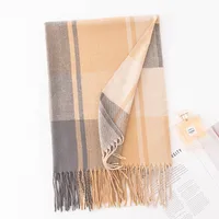 Women's Elegant Simple Style Plaid Imitation Cashmere Tassel Scarf sku image 5