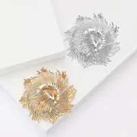 Elegant Fireworks Alloy Women's Brooches main image 1