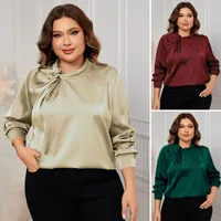 Women's Blouse Long Sleeve Blouses Elegant Simple Style Solid Color main image 1