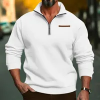 Men's Heavyweight Fleece Half-Zip Stand Collar Pullover Sweatshirt - Oversized Winter Casual Solid Color main image 1
