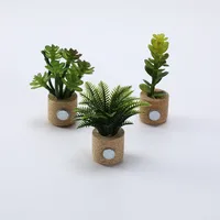 1 Piece Plant Daily PE PVC Sawdust Simple Style main image 4