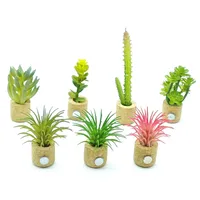1 Piece Plant Daily PE PVC Sawdust Simple Style main image 5