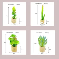 1 Piece Plant Daily PE PVC Sawdust Simple Style main image 3