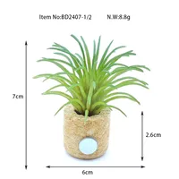 1 Piece Plant Daily PE PVC Sawdust Simple Style sku image 1