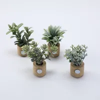 1 Piece Plant Daily PE PVC Sawdust Simple Style main image 4