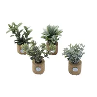 1 Piece Plant Daily PE PVC Sawdust Simple Style main image 1