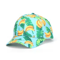 Unisex Simple Style Classic Style Fruit Curved Eaves Baseball Cap sku image 33
