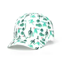 Unisex Simple Style Classic Style Fruit Curved Eaves Baseball Cap sku image 41