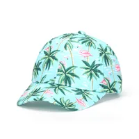 Unisex Simple Style Classic Style Fruit Curved Eaves Baseball Cap sku image 51