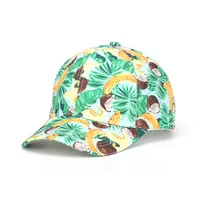 Unisex Simple Style Classic Style Fruit Curved Eaves Baseball Cap sku image 52