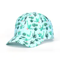 Unisex Simple Style Classic Style Fruit Curved Eaves Baseball Cap sku image 55