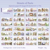 30 Pieces Per Book Castle Plant Landscape Class Learning Paper Vintage Style Handmade Simple Style Stickers sku image 3