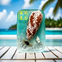 Marine Style Conch Shell Resin Shell Refrigerator Magnet sku image 15