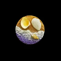 Marine Style Geometric Shell Resin Shell Refrigerator Magnet sku image 13