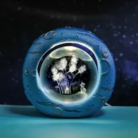 Simple Style Galaxy Dolphin Resin Crystal sku image 16
