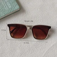 IG Style Casual Vacation Square Pc Square Full Frame Glasses sku image 5