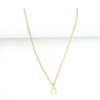Elegant Simple Style Classic Style Horseshoe 201 Stainless Steel Copper Women's Pendant Necklace main image 5