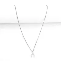 Elegant Simple Style Classic Style Horseshoe 201 Stainless Steel Copper Women's Pendant Necklace main image 6
