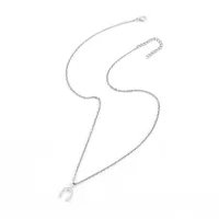 Elegant Simple Style Classic Style Horseshoe 201 Stainless Steel Copper Women's Pendant Necklace main image 4
